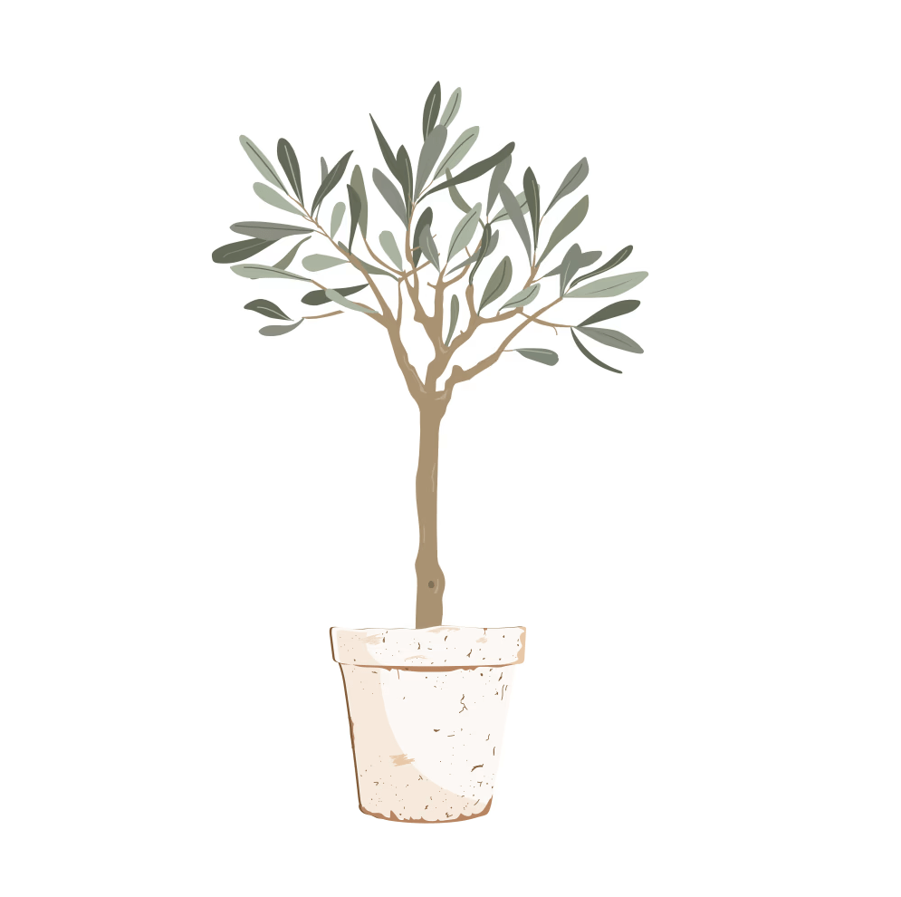 tree-olyfloot-image