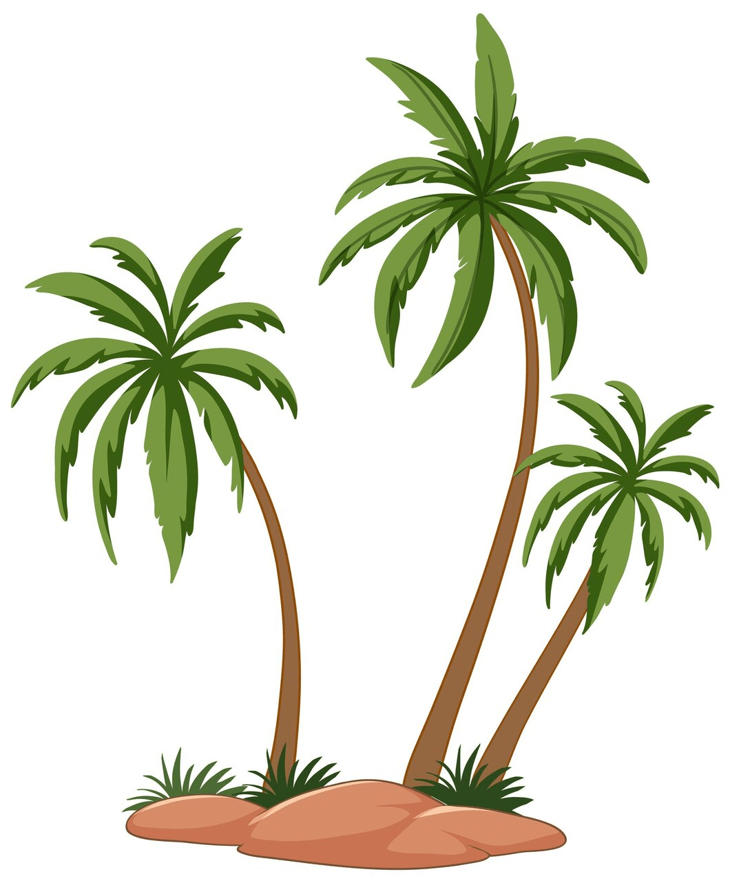 tree-palmie-image