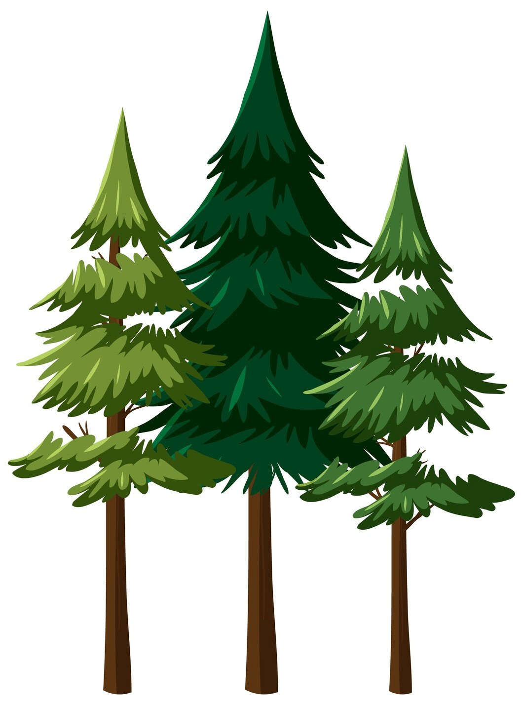 tree-sederkie-image