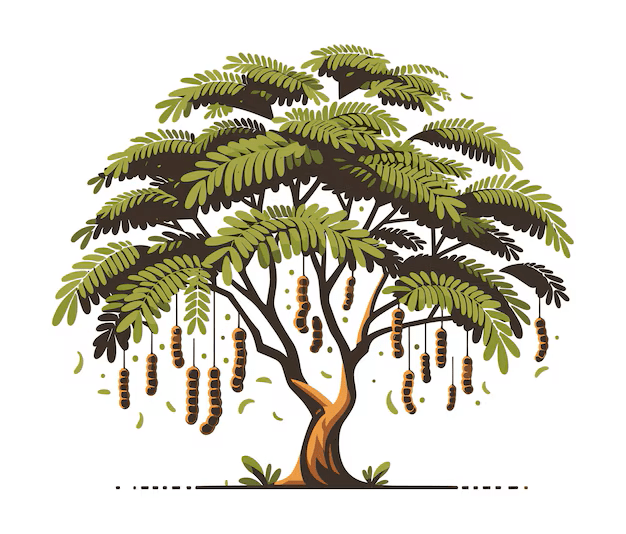 tree-tamar-image