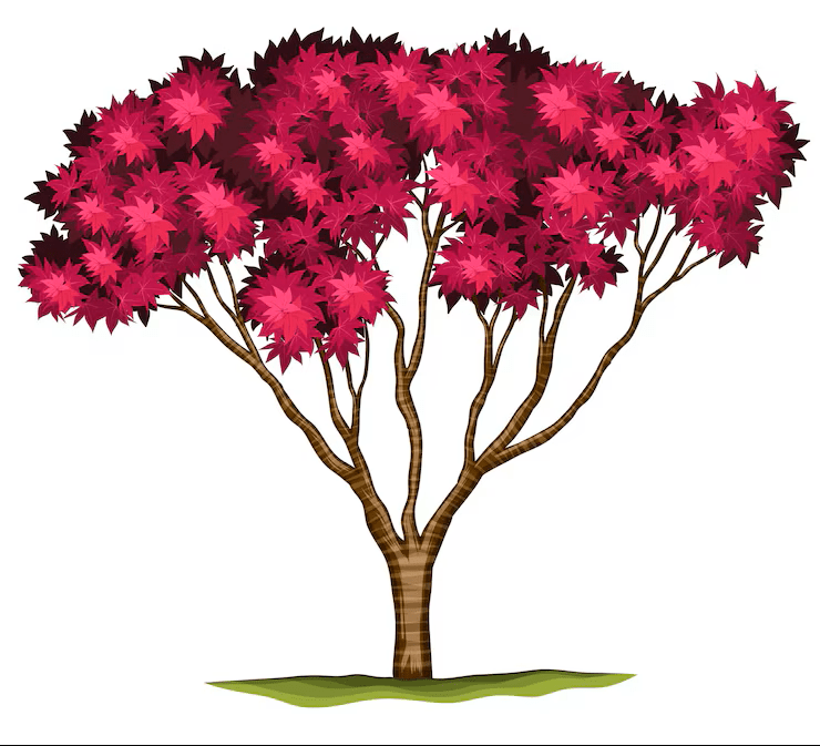 tree-tamarisk-image