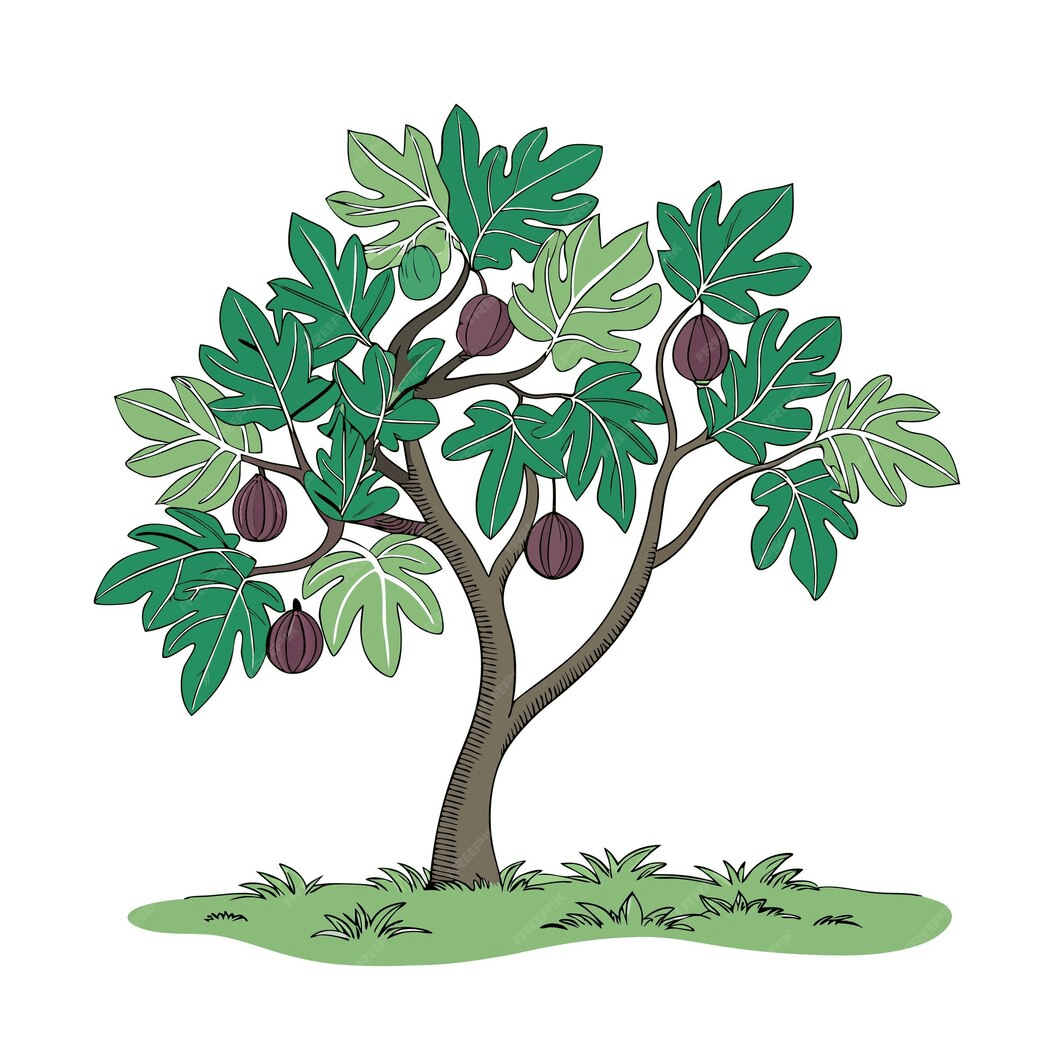 tree-vygietjie-image