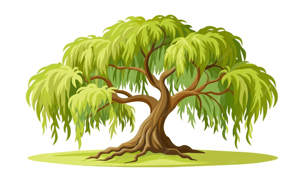 tree-wilgietjie-image