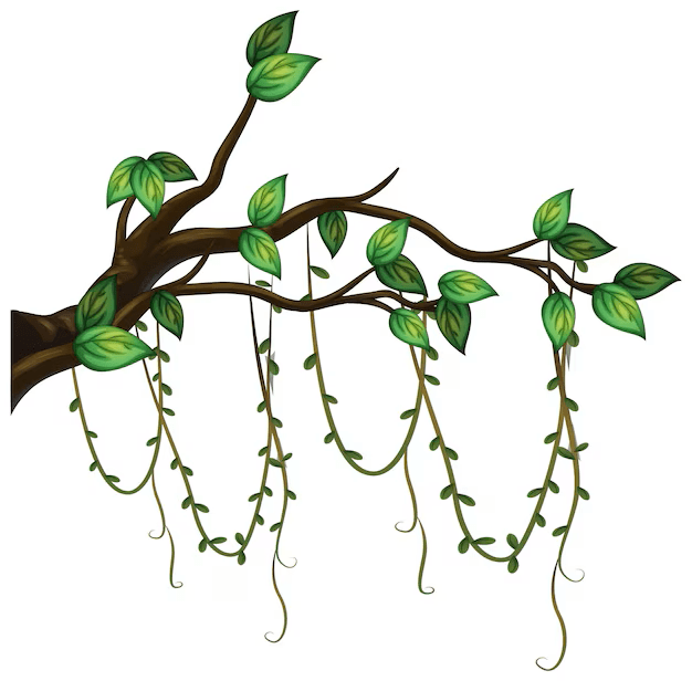 tree-wingerdloot-image